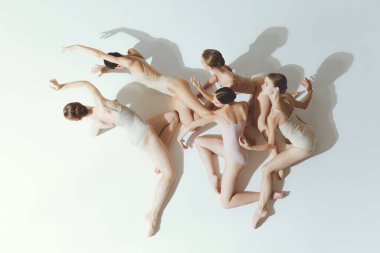 Bir grup genç kız, bale dansçıları, gri stüdyo arka planında yalnız poz veriyorlar. Yer dansı. Sanat, güzellik, arzu, yaratıcılık, klasik dans tarzı, zarafet kavramı.