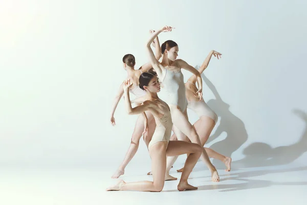 Группа Молодых Женщин Балерины Танцуют Выступая Изолированно Сером Фоне Студии — стоковое фото