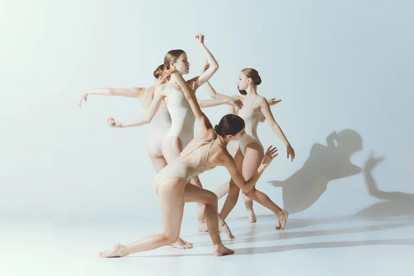 Een Groep Jonge Vrouwen Ballerina Dansend Geïsoleerd Optredend Grijze Studio — Stockfoto