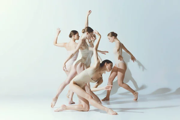 Group of young women, ballerinas dancing, performing isolated over grey studio background. Chaotic movements. Concept of art, beauty, aspiration, creativity, classic dance style, elegance, grace