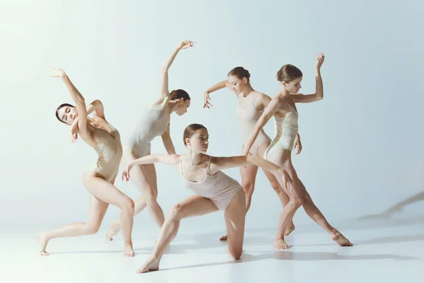 Группа Молодых Нежных Девушек Танцует Выступая Изолированно Сером Фоне Студии — стоковое фото