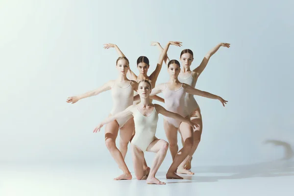 Grupa Młodych Dziewcząt Tancerki Baletowe Pozujące Szarym Tle Studia Atrakcyjny — Zdjęcie stockowe