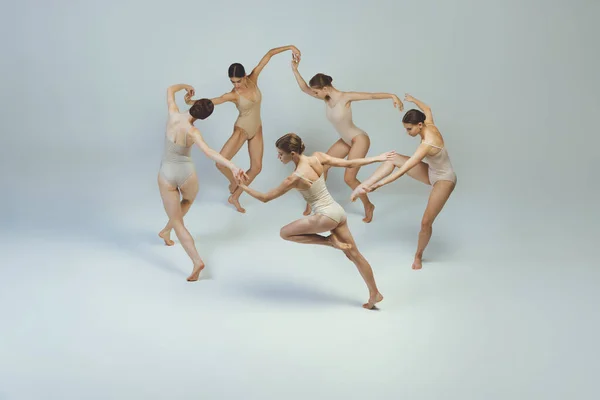 Group of young girls, ballet dancers performing, posing isolated over grey studio background. Circle movements. Concept of art, beauty, aspiration, creativity, classic dance style, elegance