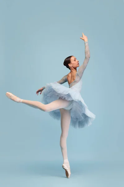 轻柔的年轻芭蕾舞演员的肖像 在蓝色的工作室背景上独立表演 用脚尖站着经典芭蕾的概念 创造力 — 图库照片