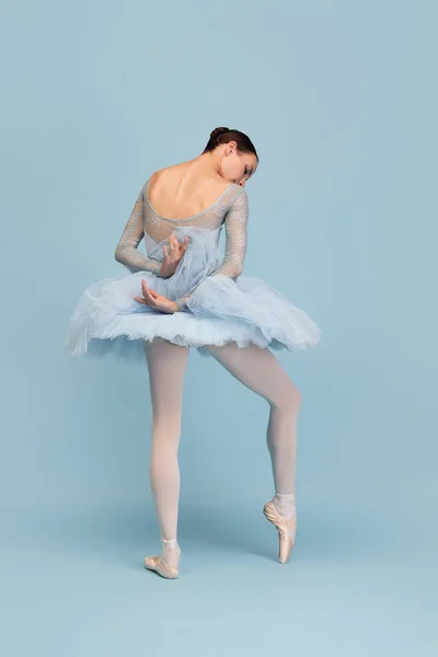 Портрет Ніжної Молодої Балерини Виконує Ізольовані Синьому Студійному Фоні Чудова — стокове фото