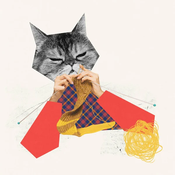 Collage Arte Contemporanea Design Creativo Testa Gatto Con Mani Umane — Foto Stock