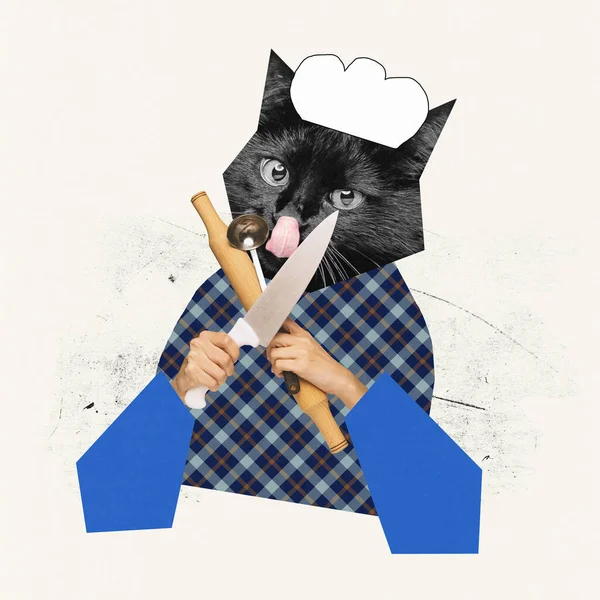 Collage Arte Contemporanea Design Creativo Testa Gatto Con Cappello Chef — Foto Stock