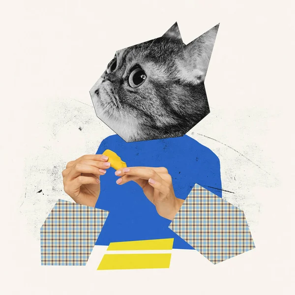 Κολάζ Σύγχρονης Τέχνης Δημιουργικός Σχεδιασμός Γάτες Κεφάλι Γυναικεία Χέρια Κάνοντας — Φωτογραφία Αρχείου