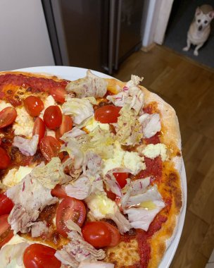 Taze pizza, radicchio di castelfranco, marul, domates, İtalyan yemeği, mutfakta bekleyen köpek, İtalyan yemeği ve hafif köpek, un.