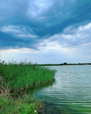 Göl manzarası, suyun etrafındaki su ve çimenler, uzun otlarla kaplanmış göl, güzel bulutlarla kaplı gökyüzü, suda çeşitli yeşil renkler, vahşi doğa, Polonya doğası