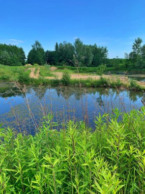 Vahşi doğa, bitkilerle dolu göletler, gölün etrafında uzun yeşil bitkiler, suyun etrafında kum yolu, kırsal iklim