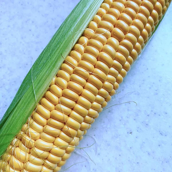 Maíz Mazorca Maíz Amarillo Granos Maíz Hervido Vegetales Amarillos Productos — Foto de Stock