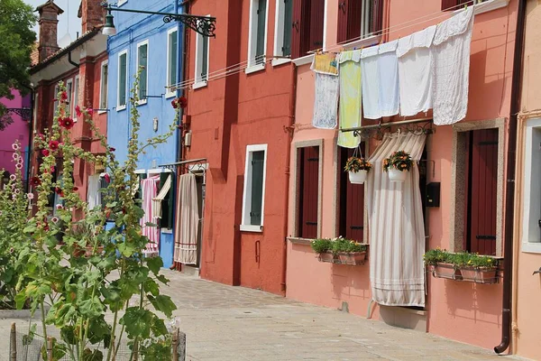 colorful houses in Burano, small houses in different colors, laundry hanging in front of the house, flowers blooming between the houses of mallow, classic view of an alley in Burano, around Venice, Burano island
