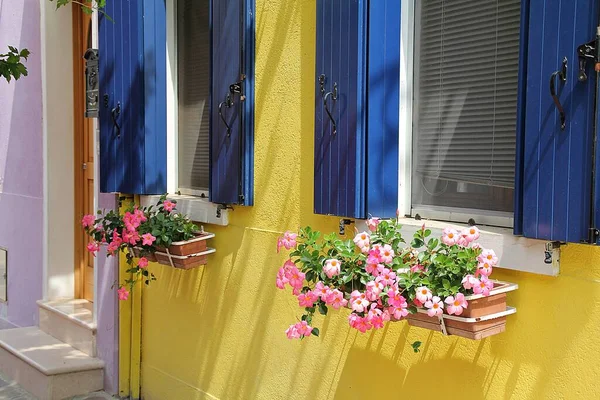 Blue Shutters Yellow House Blue Wooden Shutters Pink Flowers Pots — Stockfoto