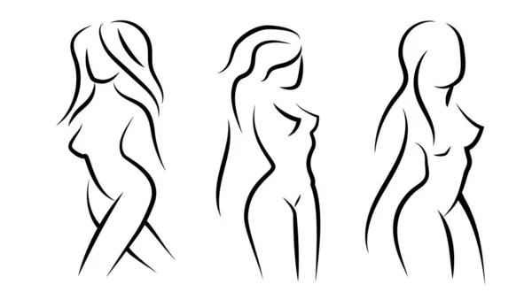 Silhuetas de corpo de mulher no estilo de cabelo —  Vetores de Stock