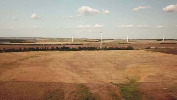 Morii de vânt sunt o sursă de energie. producție alternativă de energie electrică . — Videoclip de stoc