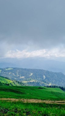 Sıcak yaz havasında güzel dağ manzarası. Yürüyüş ve dağcılık. 