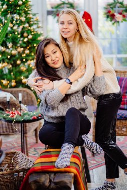 Evin yeni yıl dekorasyonunda iki neşeli arkadaş. Aynı cinsiyetten çiftler