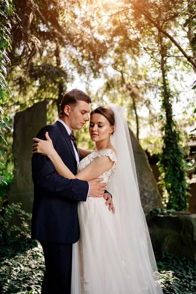 Sposi felici dagli alberi nel park.bride e sposo su una passeggiata nella natura — Foto Stock