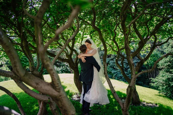 Belos recém-casados abraçar as árvores no park.bride e noivo em um passeio — Fotografia de Stock