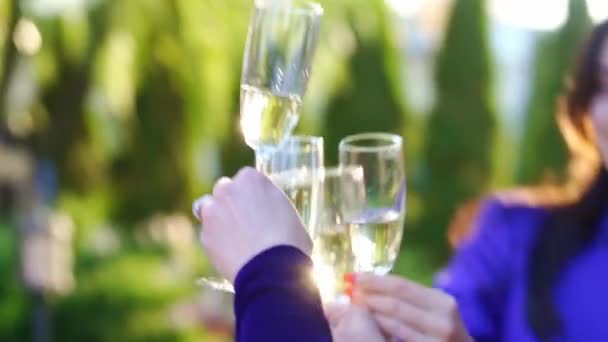 As mãos de mulheres levantam copos de champanhe. — Vídeo de Stock