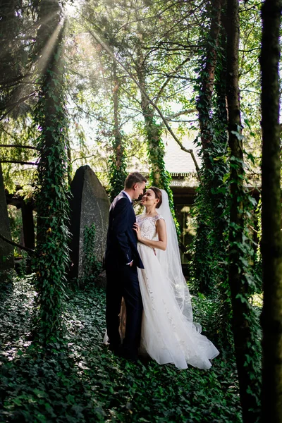 Gelukkig pasgetrouwden bij de bomen in het park.bruid en bruidegom op een wandeling in de natuur — Stockfoto