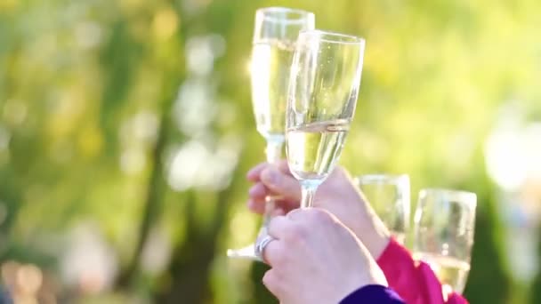 Mains de femmes lever des verres de champagne. — Video