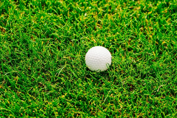 Bola de golfe na grama verde. clube de campo para golfistas. — Fotografia de Stock