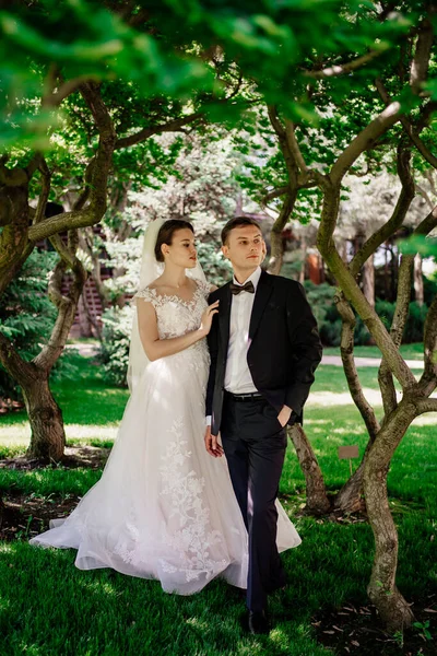 Mooie pasgetrouwden bij de bomen in het park.bruid en bruidegom op een wandeling in de natuur — Stockfoto