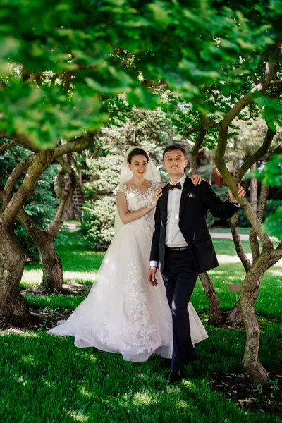Mooie pasgetrouwden bij de bomen in het park.bruid en bruidegom op een wandeling in de natuur — Stockfoto