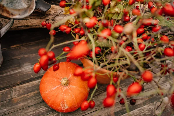 Ansicht Von Oben Holztisch Mit Kürbis Und Hagebuttenzweigen Traditionelle Herbstdekoration — Stockfoto