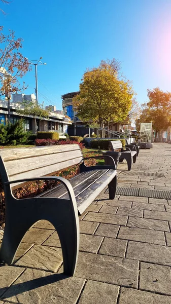 Bench on the path in the park or on the alley. walks around the autumn city. — Stock Photo, Image