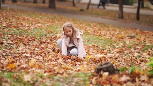 Весёлая и милая маленькая девочка собирает осенние листья. — стоковое видео