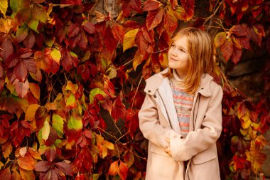 Sonbahar yabani üzümleriyle duvarda küçük şirin bir kız. Sonbahar doğasının güzelliği.