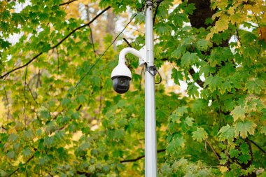 Parktaki bir direkte kamera var. koruma sistemi
