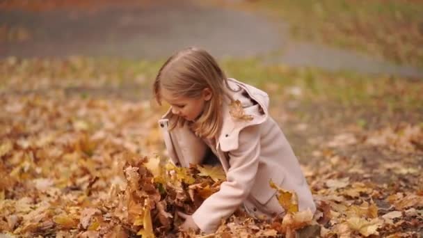 Veselá a sladká holčička sbírá padlé podzimní listí a hází. — Stock video