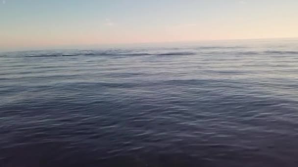 Lot nad powierzchnią morza. spokojna woda. rejs. — Wideo stockowe