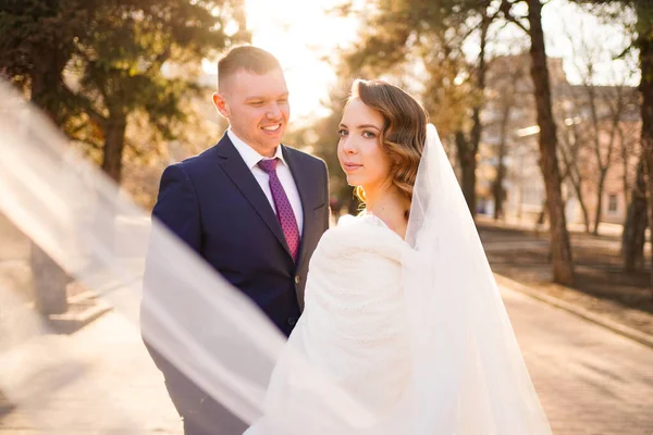 Retrato de amor e feliz recém-casado. moda de casamento. vestido com véu longo — Fotografia de Stock