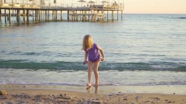 少女は海岸を歩き石を集めて水に投げ込み. — ストック動画
