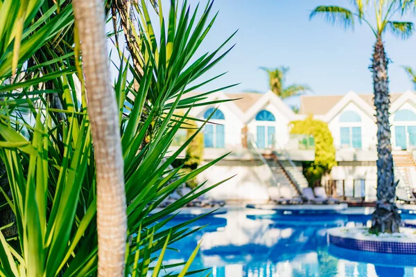 Ramas de palma en primer plano. villas blancas se reflejan en el agua. —  Fotos de Stock