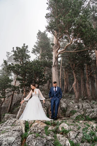 Un beau couple de jeunes mariés sur un rocher dans une forêt de montagne. lune de miel. — Photo