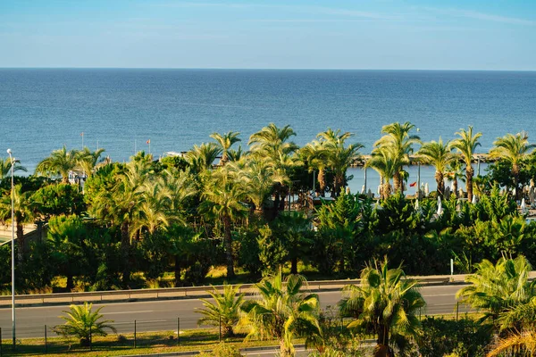 风景。海、棕榈树及将海滩与酒店分隔的道路. — 图库照片