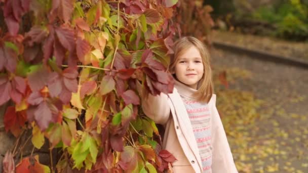 Милая девочка за стеной с осенним диким виноградом. красота осенней природы. — стоковое видео
