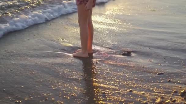 At sunset. legs of girl walking along seashore and throwing stones into water — Stock Video