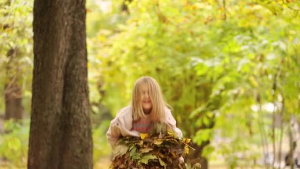 Alegre y dulce niña recoge caído otoño hojas y lanza. — Vídeo de stock