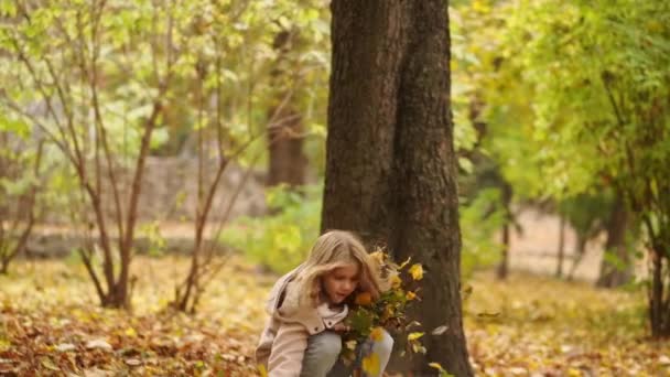 Cheerful and sweet little girl collects fallen autumn leaves. — Stock Video