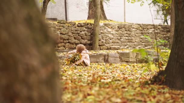 陽気で甘い少女が秋の葉を集め. — ストック動画