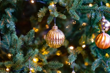 Ladin dalında altın bir top. Geleneksel Noel süsleri. 