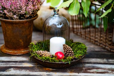 Cam kapağın altındaki mum. Tahta masanın üzerinde, saksıdaki çiçeğin yanında.. 