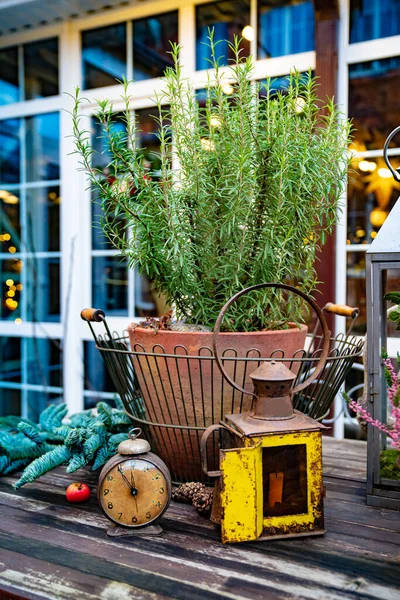 Flower in a pot, antique clock and lantern. a wooden table in the courtyard. — Stock Photo, Image